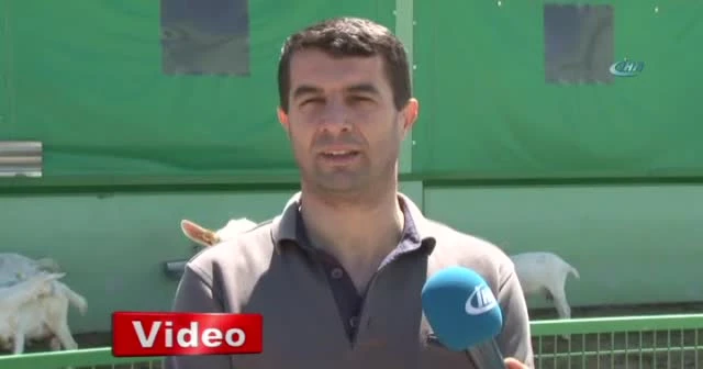 4 bin lira maaşla çoban yetiştiriyorlar
