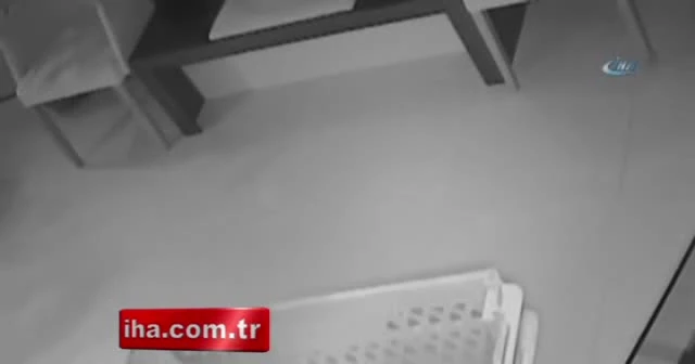 Etekli hırsızlar kamerada