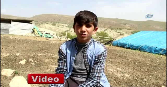 Koyun sağıp, çobanlık yapan Habib’in TEOG başarısı