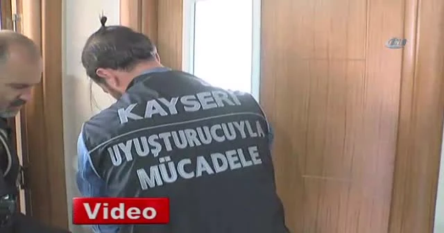 Saksıda Hint keneviri, duvarda bonzai ağacı tablosu