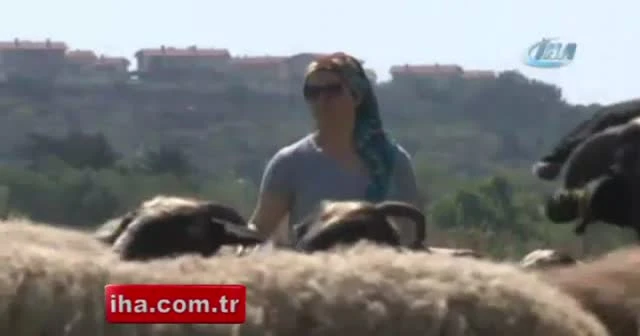 Sertifikalı modern kadın çoban