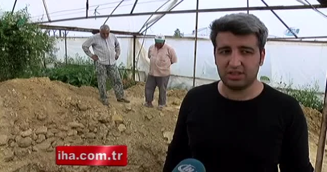 Süs bitkisi serasında define kazısı