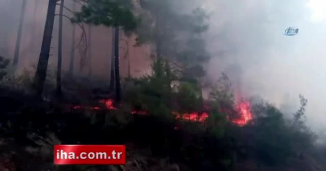 Alanya’da orman yangını, evler tahliye ediliyor