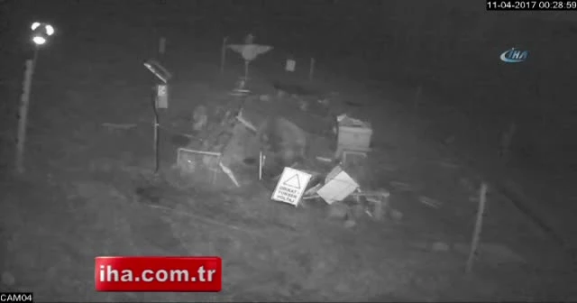 Arı kovanlarına saldıran ayı güvenlik kamerasına yansıdı