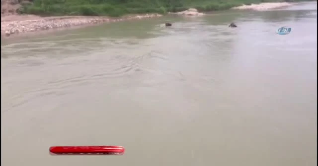 Balık avlarken ağa takılan genç boğuldu