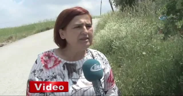 Başkent'te vahşet! Kedi ve köpekler katledildi