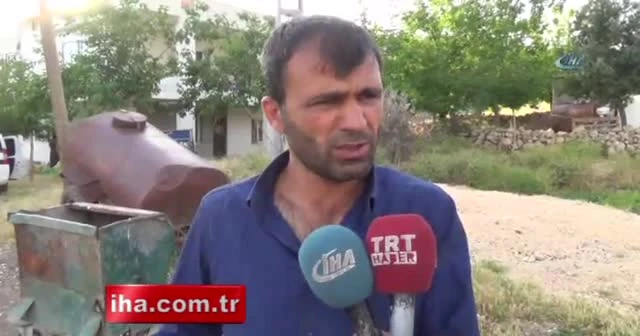 Çöpte kesilmiş at kafası bulundu