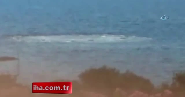 Denizde korkutan görüntü