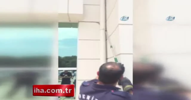 Denizli'yi yılan bastı