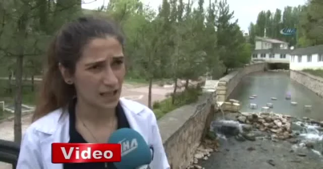Doktor balıkların sırrı halen çözülemedi ’