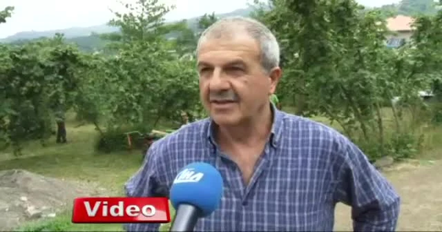 Fındıkta büyük umut