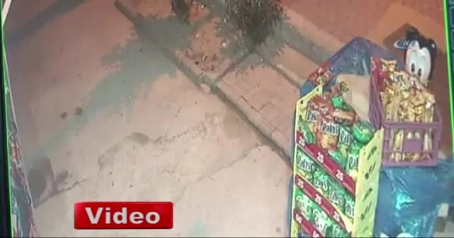 Jet hırsız 30 saniyede kasadaki 12 bin TL'yi çalıp kaçtı