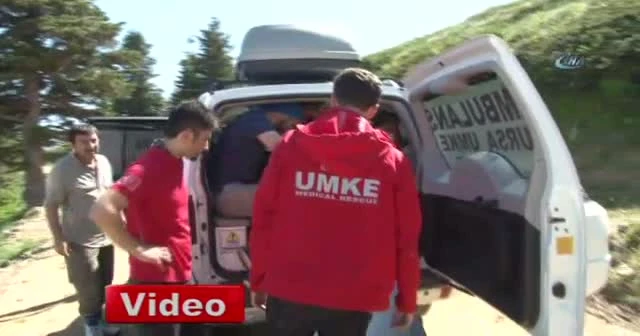 Kampta ayı paniği