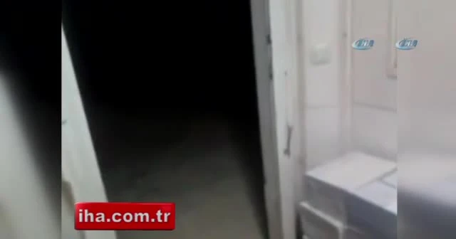 Kulübesine gelen tilkiyi cipsle besledi