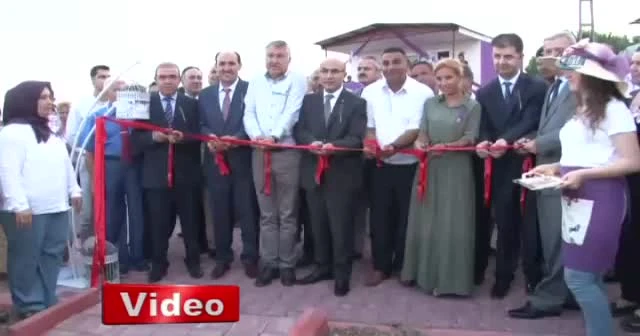 Lavanta sevgisi atıl araziyi renklendirdi
