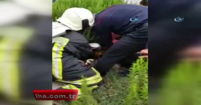 Oyun oynarken bacağına demir saplandı