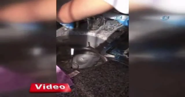 Şampuan kutusundan bonzai çıktı