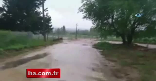 Sel suları çekilince tarlasından sazan çıktı