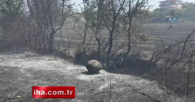 Antalya’nın ciğerleri yandı
