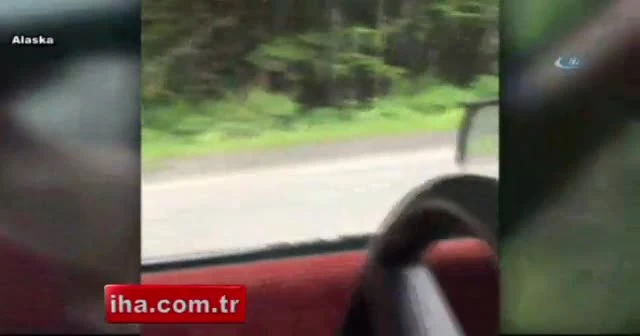 Ayı saldırısı kamerada