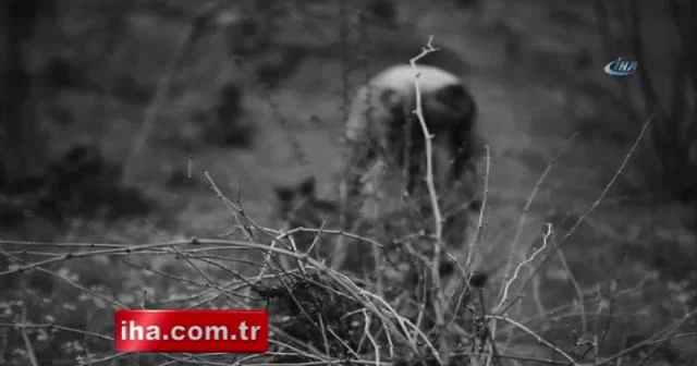 Cumhurbaşkanı Sözcüsü Kalın'dan 'Mehmet'e ağıt' türküsü