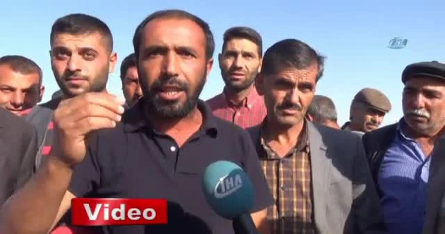 Dişi düve yasağına tepkiler çığ gibi