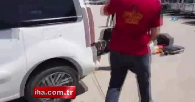 Efes ve Lisa, kaçakçıların korkulu rüyası oldu