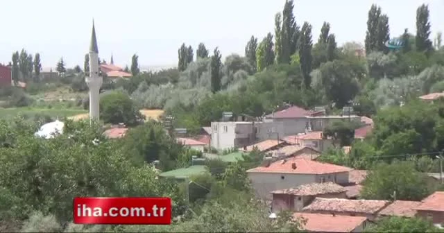 Göletteki yüzlerce balık oksijensizlikten öldü