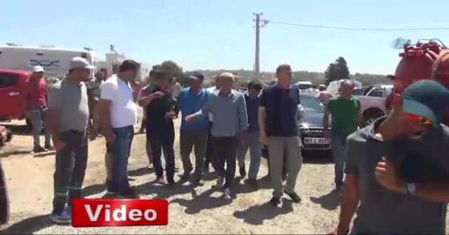 Manavgat’ta çıkan yangında 550’ye yakın hayvan telef oldu