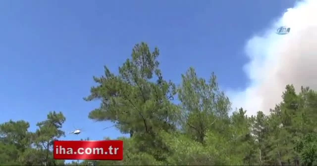 Marmaris'te orman yangını