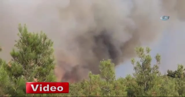 Orman yangını nedeniyle köy boşaltıldı