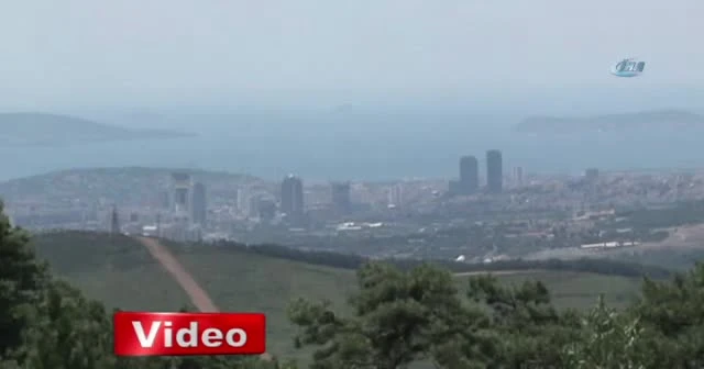 Ormanlar Ayda teyzeye emanet