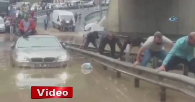 Selden timsah yürüyüşüyle kurtulmaya çalıştılar