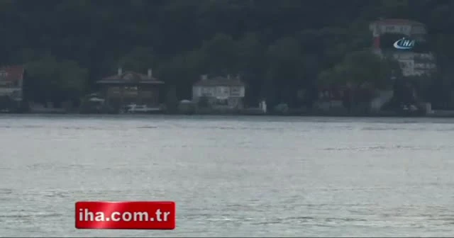 Yunuslar İstanbul Boğazı’nda renkli görüntüler oluşturdu
