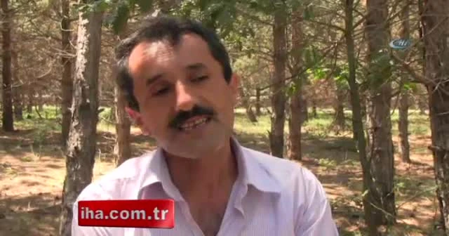 Ağaca asılı ceset bulundu!