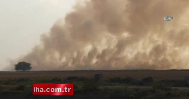 Anız yangınları Adana'yı boğuyor