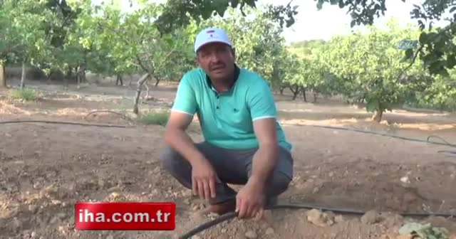 Babasının bir sözünü dinledi, her yıl bir kilo altın alıyor