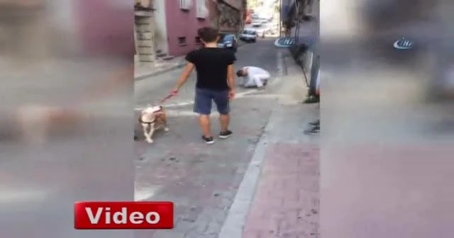 Bonzai kullanan gencin içler acısı hali kamerada