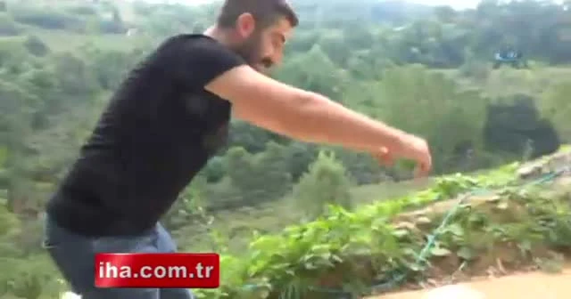Bu köpek kolbastı oynuyor
