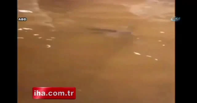 Evinde balık avladı
