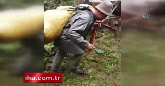 Fındık fiyatına kemençeli tepki