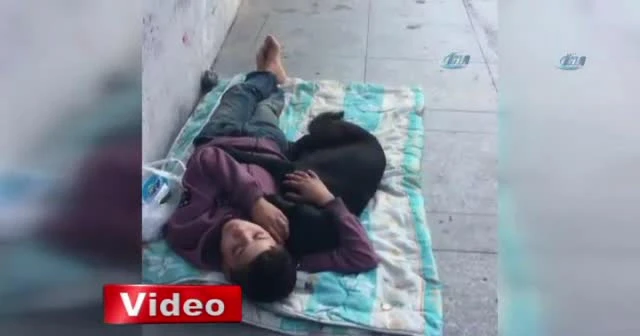 Köpeğe sarılarak uyuyan çocuk yürekleri burktu