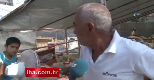 Kurbanlıkların vantilatör keyfi