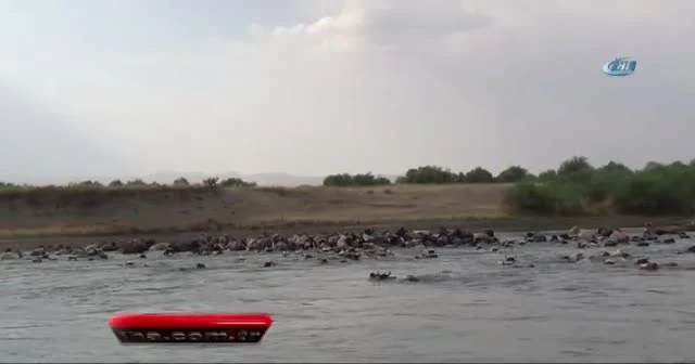 Murat Nehri’nde kaybolan nişanlı kızın cesedi bulundu