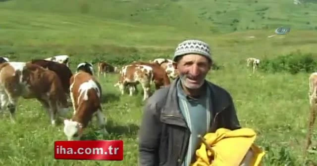 Posof’ta çoban bulamıyorlar