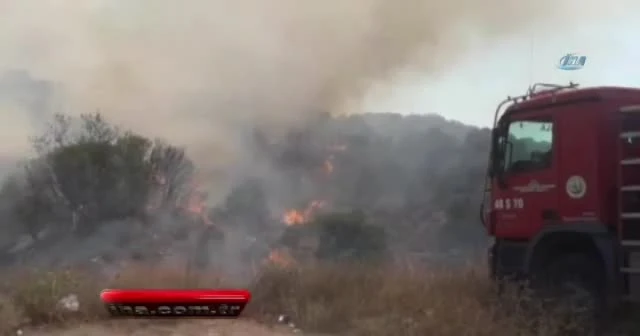 Reklam yapayım derken ormanı yaktılar