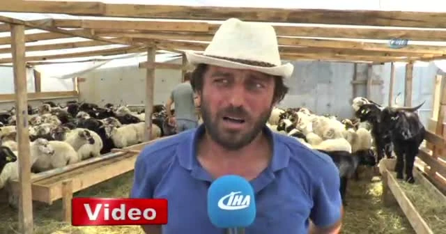 Rıza Baba ve Mesut Komiser alıcılarını bekliyor
