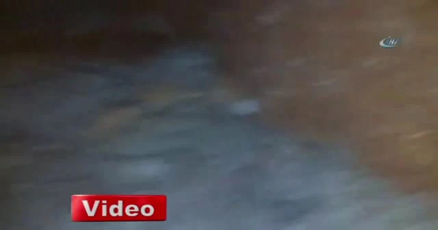 Teröristler taş kırıcı makinelerle kazdıkları mağarada öldürüldü