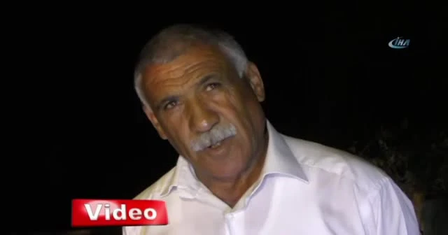 Zirai ilaç ile binlerce arıyı telef ettiler
