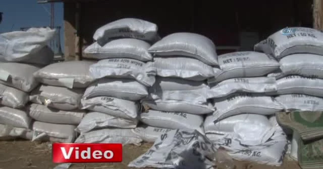 19 büyükbaş hayvan telef olmuş halde bulundu